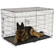 42in shop dog kennel